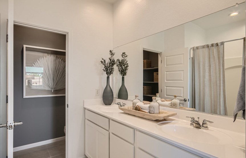 Brisbee model Owners Bath by Lennar Homes in Alamar community in Avondale, AZ