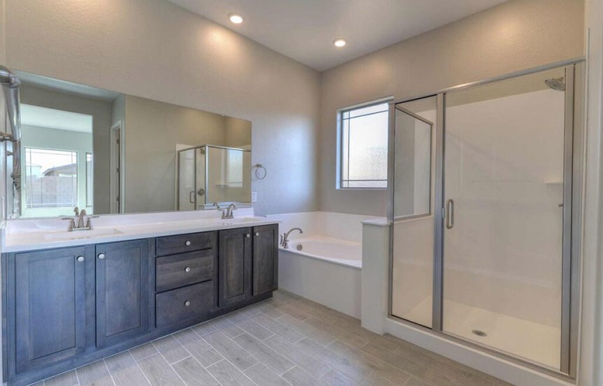 Hutchinson Primary Bath by David Weekley at Alamar community in Avondale, AZ