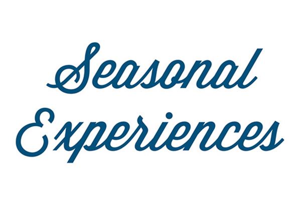 seasonal-experiences-alamar-community-avondale-arizona.jpg